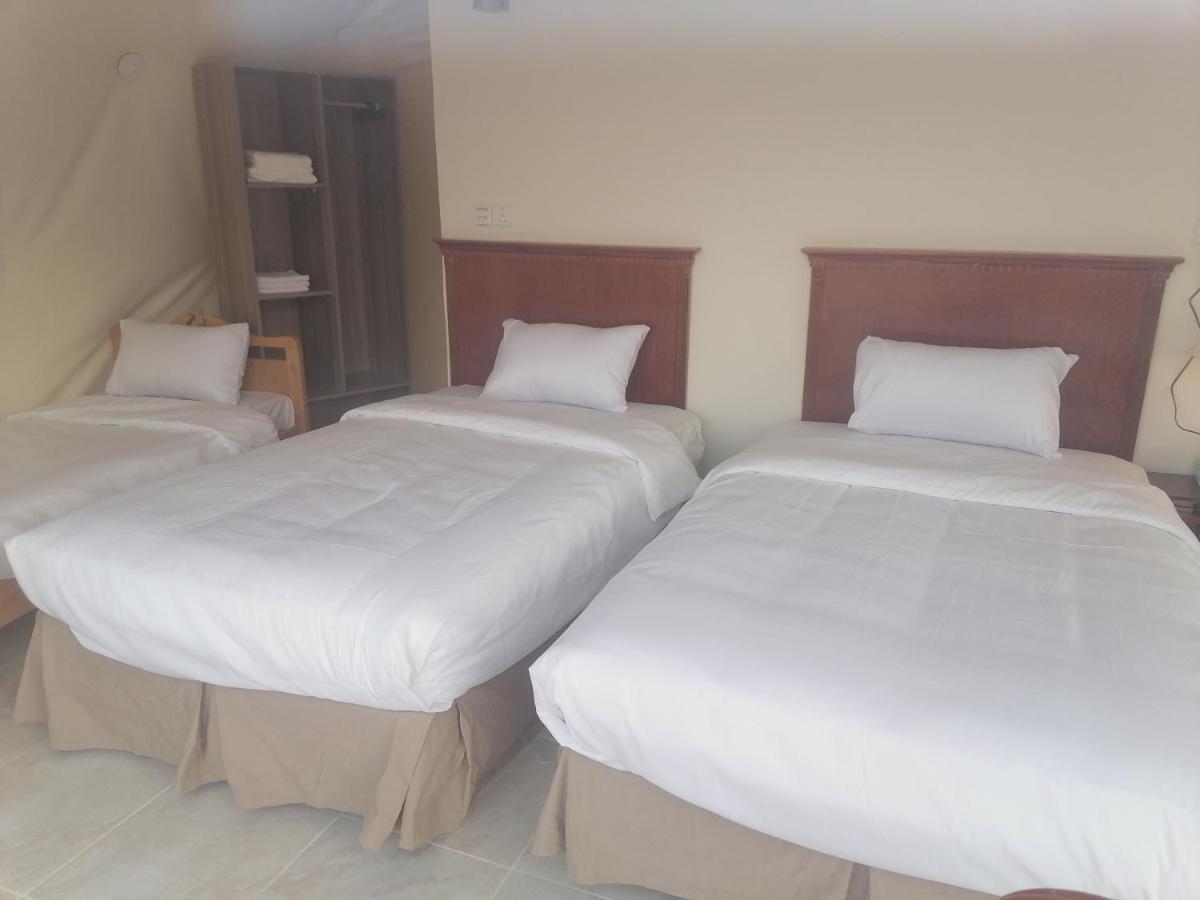Sara Luxury Camp Hotel Wadi Rum Exterior photo