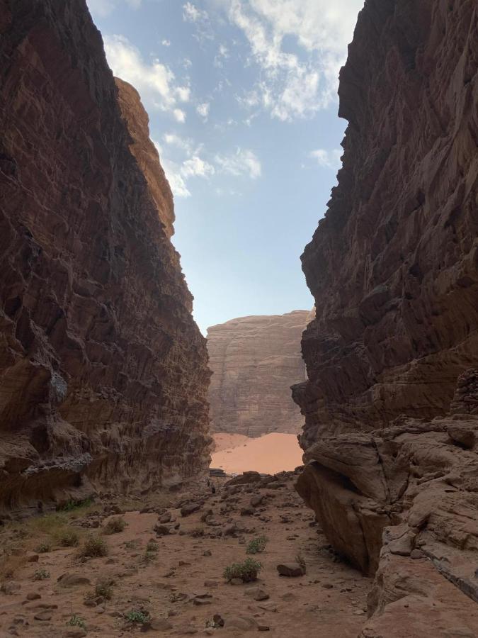Sara Luxury Camp Hotel Wadi Rum Exterior photo